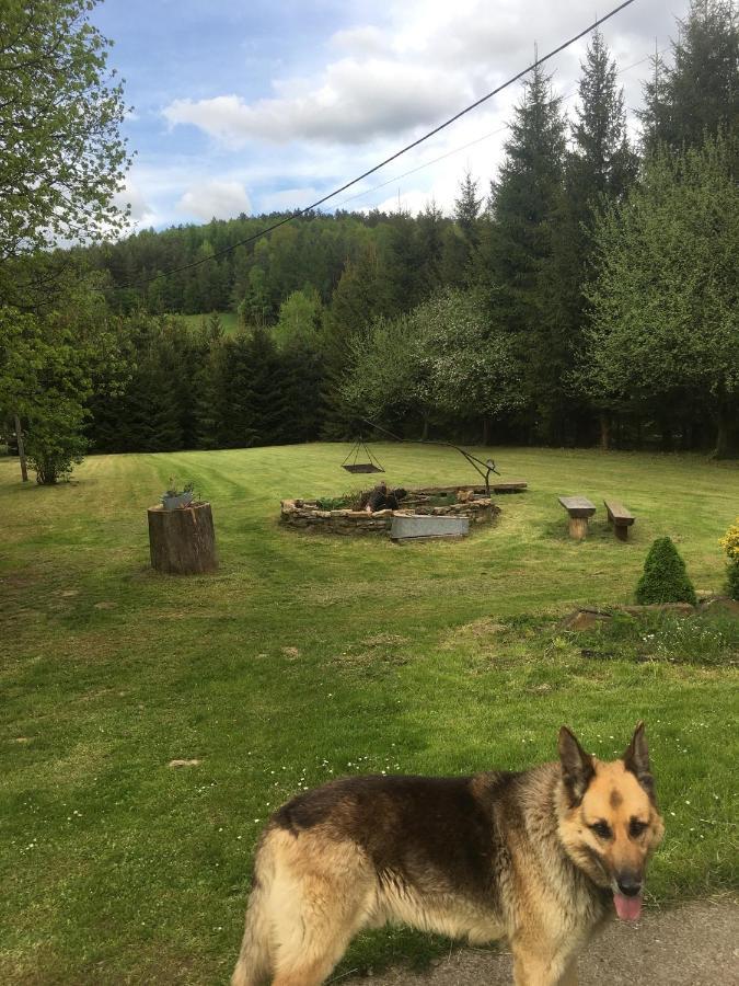 Vila Bieszczadzka Sielanka Wojtkowa Exteriér fotografie